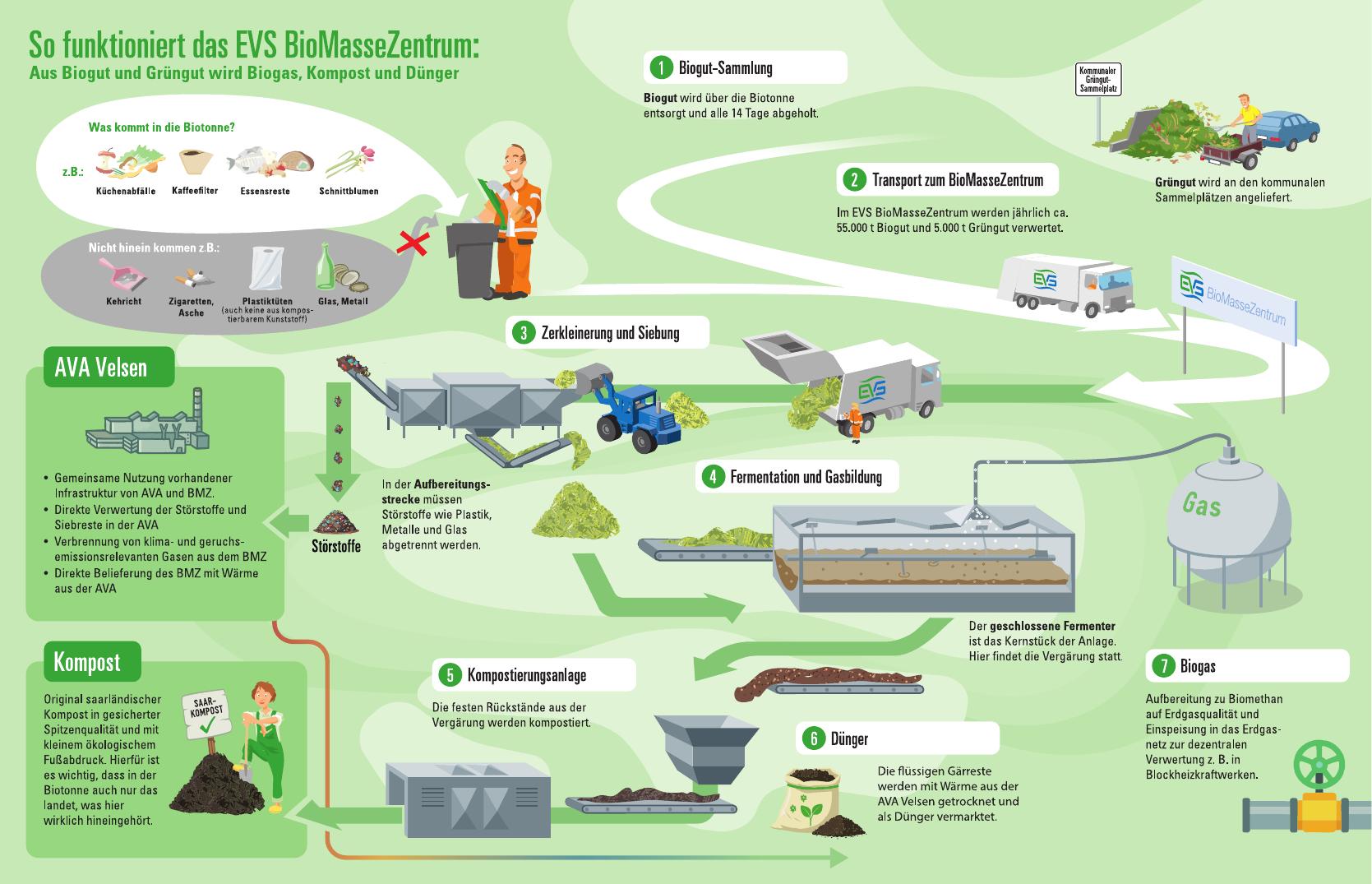 EVS BioMasseZentrum Infografik als finalisierte Prozessgrafik