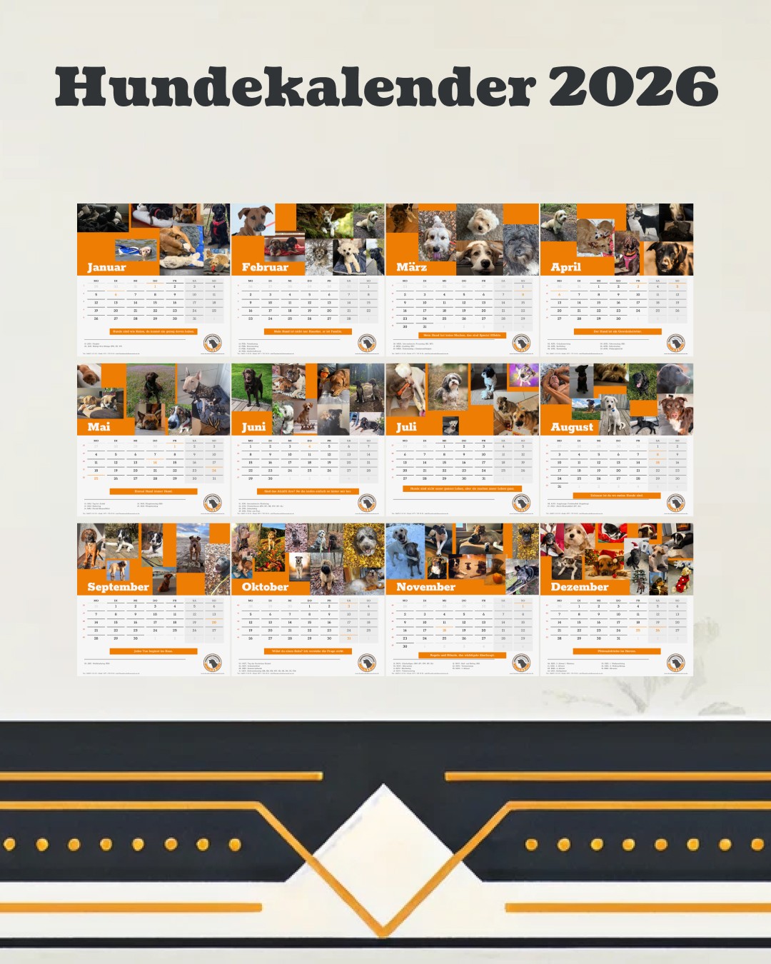Social-Media-Motiv mit Monatsseiten des HVZ Hundekalenders 2026